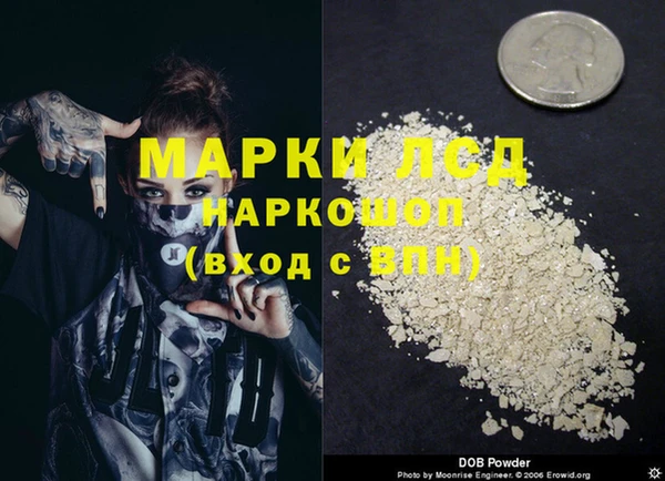 ALPHA-PVP Новозыбков