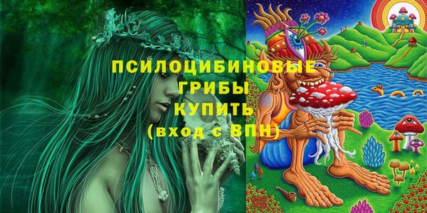 винт Новокубанск