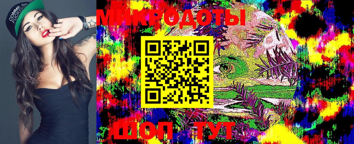 Галлюциногенные грибы Psilocybine cubensis Боровичи