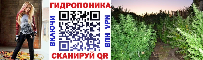 где найти наркотики  Боровичи  Марихуана SATIVA & INDICA 